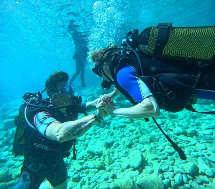 Sithonia: Scuba Diving Experience for Beginners - What you’ll see at 12 meters: reef animals and color you can spot