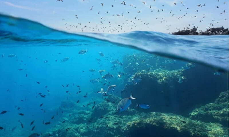 Sithonia: Scuba Diving Experience for Beginners - Instructor attention and safety: why people leave smiling
