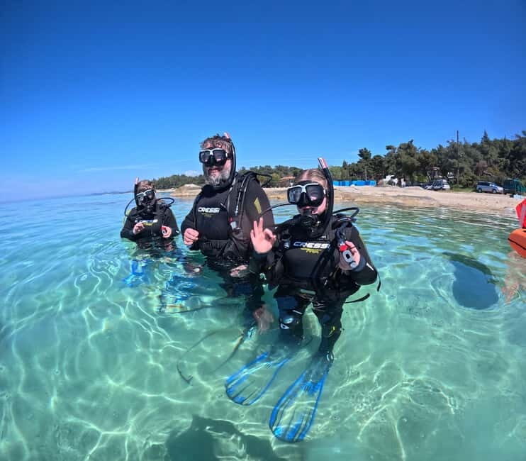 Sithonia: Scuba Diving Experience for Beginners - Elia Beach and the 45-minute underwater window: timing that stays realistic