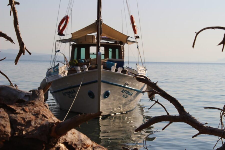 Skiathos: Boat Cruise with Dinner & Sunset Viewing - Price and logistics: what you’re paying for at $188
