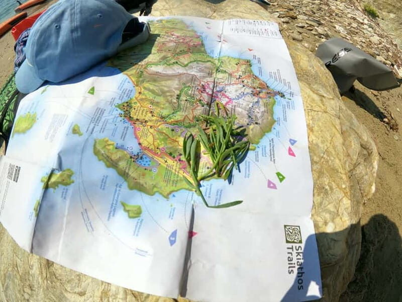 Skiathos: Guided Sea Kayaking Tour with Swim Stop - Paddle Skiathos’ South Coast in Two Hours