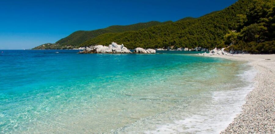 Skopelos: Mamma Mia Experience - Olive oil stop: sometimes you’ll get more local food culture