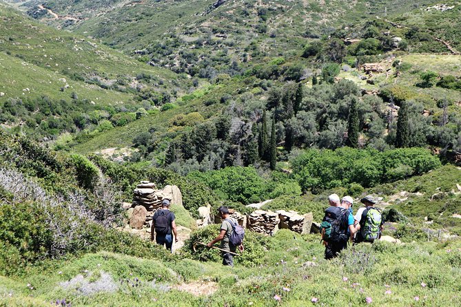 Small-Group Guided Hiking Tour in Andros with picnic on the beach - Remata, where water shapes the walk