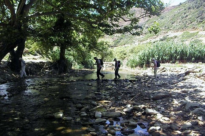 Small-Group Guided Hiking Tour in Andros with picnic on the beach - Who will get the most from this Andros hike