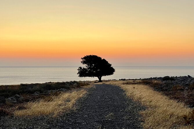Small group hiking from Pefkos to Navarone Bay at sunrise - Following the promontory into the pine forest