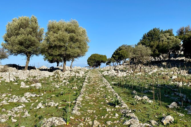 Small Group Hiking from Salakos to Profitis Ilias - Why the $47.66 price can make sense