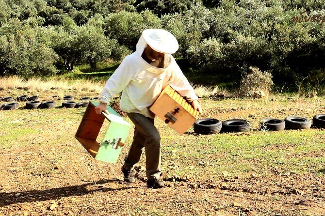 Small-Group Honey & Extra Virgin Olive Oil Tasting Tour in Crete - Key Things You’ll Notice Right Away