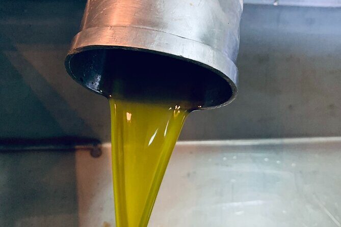 Small-Group Honey & Extra Virgin Olive Oil Tasting Tour in Crete - A Short One-Hour Stop That Packs Real Flavor Education
