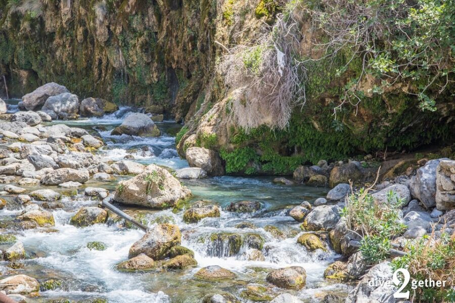 Snorkel trip to the Kourtaliotiko Waterfalls Plakias - Should you book the Kourtaliotiko waterfall snorkeling trip?