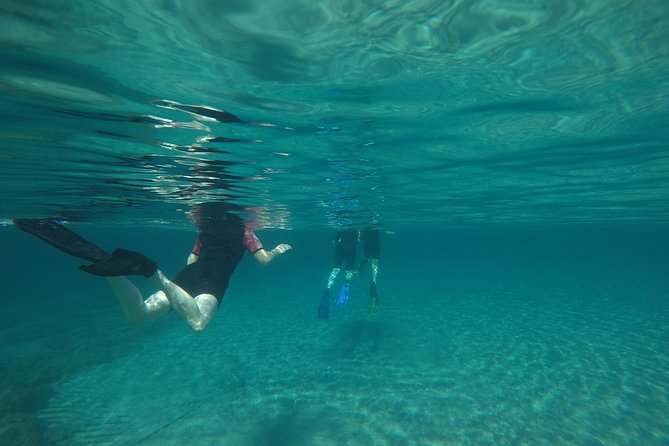 Snorkeling and swimming tour to the Poseidon's temple at Sounio cape - Why this four-hour coastal trip works