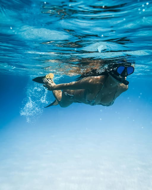 Snorkeling for beginners in crystal clear sea of Halkidiki - What happens at Triton Scuba Diving Center