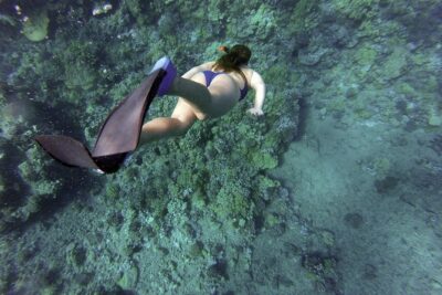 Snorkeling Fun Adventure in Athenian Riviera - Meeting Vasilis and learning the basics