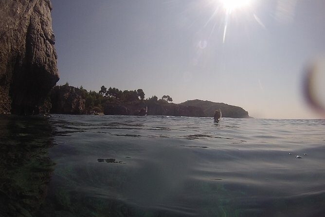 Snorkeling trip - What You’ll See: Octopus, Starfish, Nudibranchs, and Fish