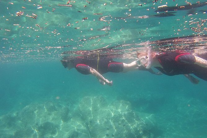 Snorkeling trip - Small Group Magic: Why Max 4 People Changes Everything