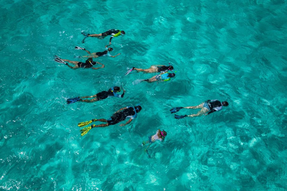 Snorkeling Trips in Amorgos - From Aegiali Beach to Nikouria Island