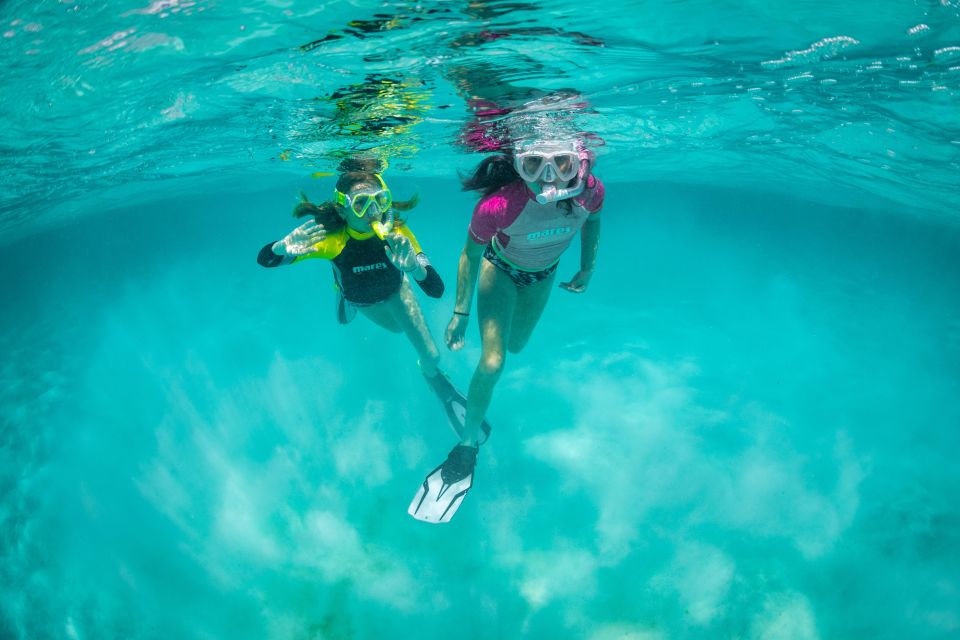 Snorkeling Trips in Amorgos - About an Hour on the Surface