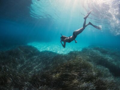 Snorkelling & Sailing In Crete’s Hidden Coastal Gems - The bays of Malia and Stalida