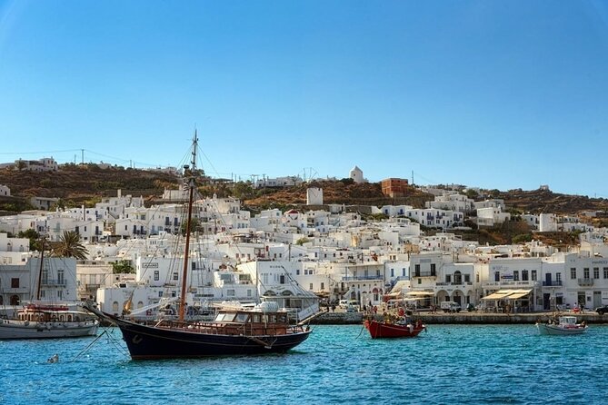 South Beaches Cruise From Mykonos - Key points to know before booking