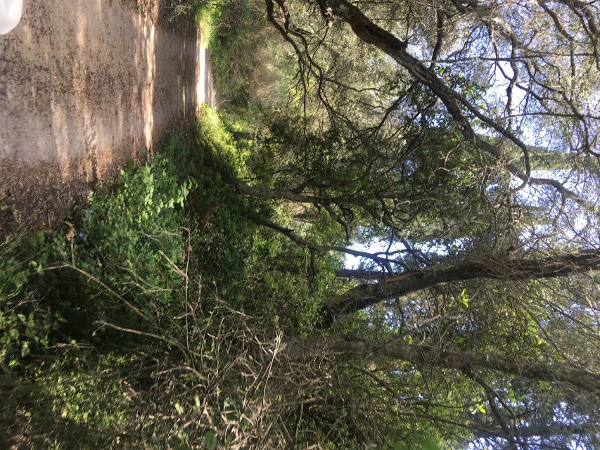 South Corfu Premium 4x4: Villages, Views & Flavours - What the 4x4 ride is really like