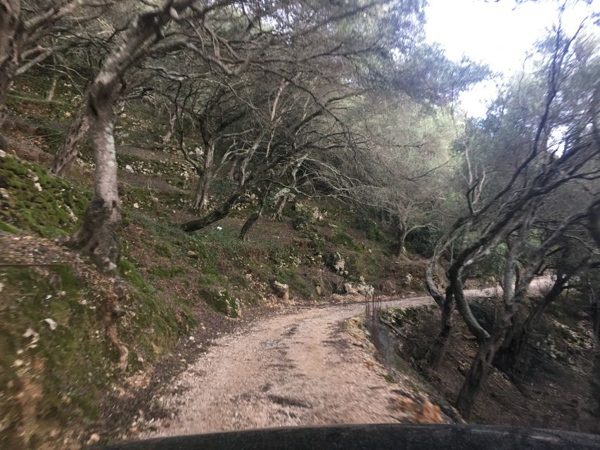 South Corfu Premium 4x4: Villages, Views & Flavours - Korission Lake and Tagio Canale bring nature into the day