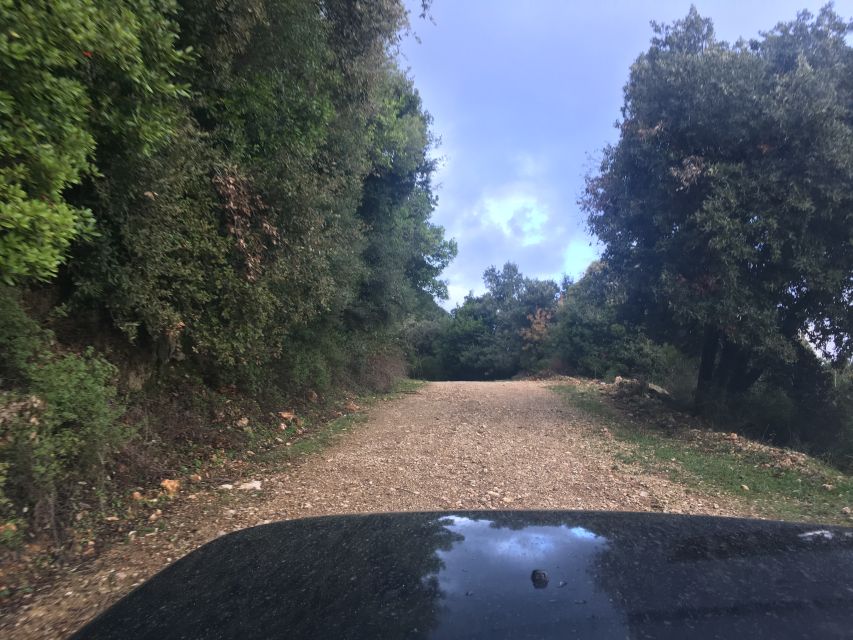 South Corfu Premium 4x4: Villages, Views & Flavours - Halikounas Beach is the best place to slow down