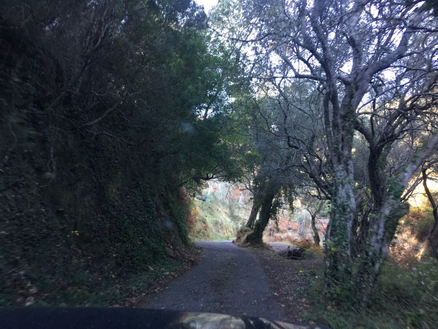 South Corfu Premium 4x4: Villages, Views & Flavours - Agioi Deka gives you a quick look at village Corfu