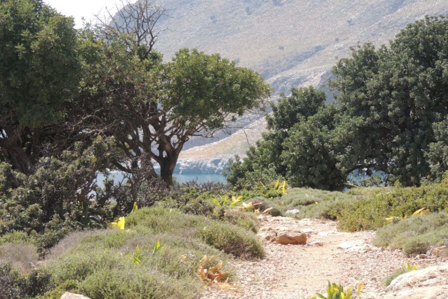 South Crete: Sarakinas Gorge Hike, Swim & Jeep Safari - Jeep safari value: why this route feels different