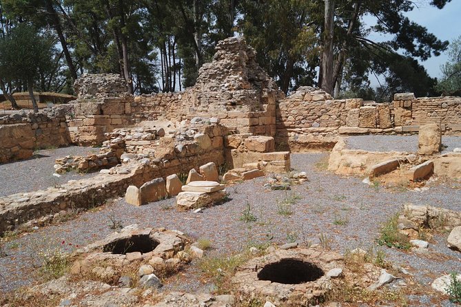 Sparta Full Day Tour - Who should book this private Sparta trip?
