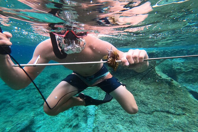 Spearfishing in Chania, Crete (price is per group) - Starting from Defkalionos 425 in Chania