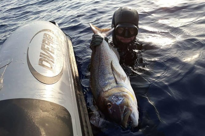 Spearfishing in Chania, Crete (price is per group) - Weather, cancellation, and how flexible to be