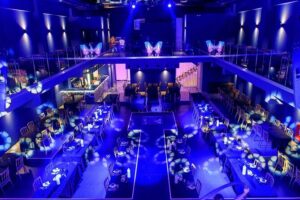 Spectacular Dinner-Show - The Show Itself: Cabaret-Circus Fun With High Energy