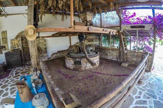 Spiridi Olive Oil Farm Tour - Spiridi Olive Oil Farm: a small, practical taste of Cretan life