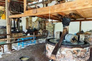 Spiridi Olive Oil Farm Tour - Getting there and timing: open hours that fit a beach day