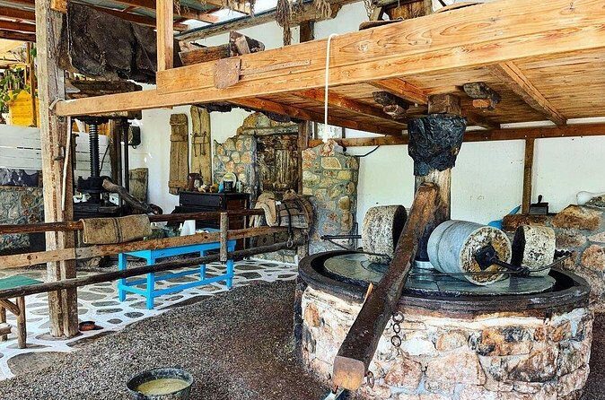 Spiridi Olive Oil Farm Tour - Included tastings: olive oil, honey, raki, herbs, and local delicacies