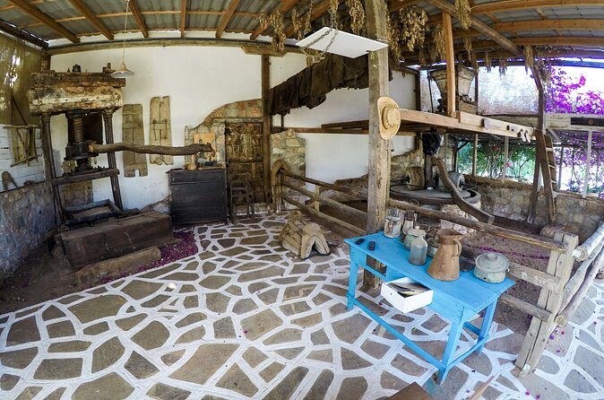 Spiridi Olive Oil Farm Tour - Extra hands-on activities: cooking, cheese making, pottery, and more (when offered)