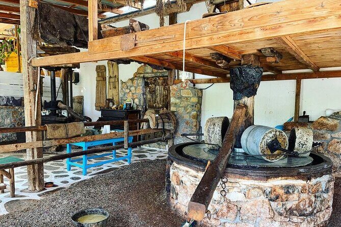 Spiridi Olive Oil Farm Tour - Getting there and timing: open hours that fit a beach day