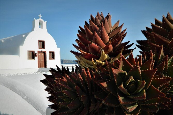 Stress-Free Santorini Shore Excursion: Private Highlights Tour - Why this private Santorini tour works well from a cruise ship