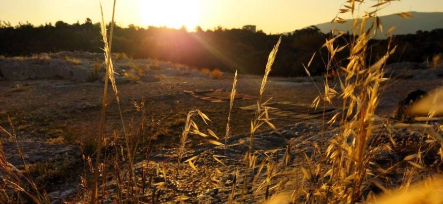 Sunrise Yoga & Meditation Acropolis & 360 view - Price and Value: What $44 Really Buys in Athens