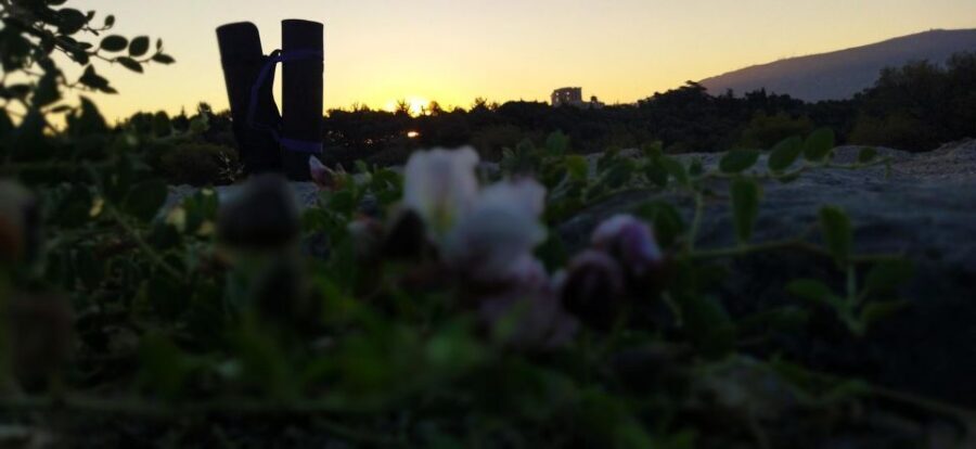 Sunrise Yoga & Meditation Acropolis & 360 view - What to Bring So You’re Comfortable from Start to Finish