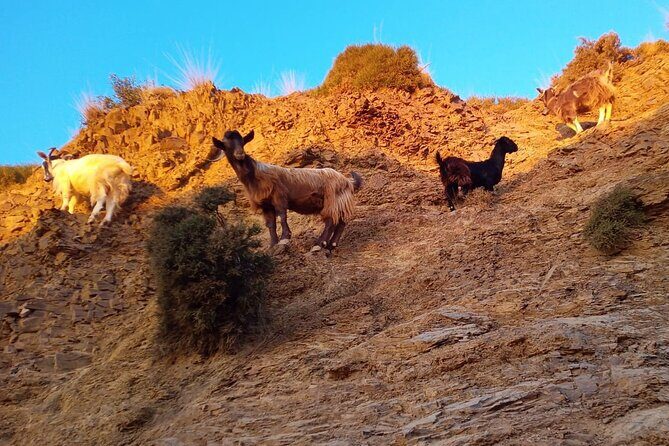 Sunset Jeep Tour in Crete - Dirt-road ascent through Ebassas gorge: herbs, views, and bumpy fun