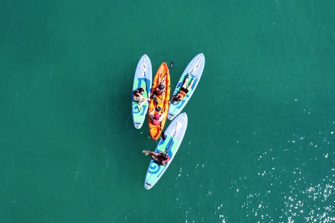 Sup and Canoe or Kayak Tour - The half-sunken boat wreck adds an unusual stop