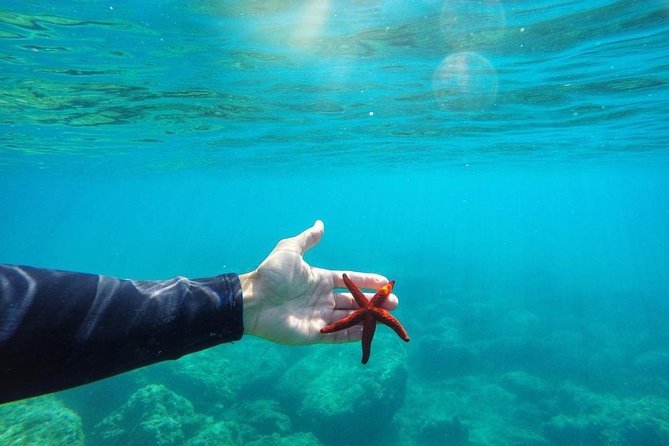 SUP tour in Sivota - Key points to know before you book