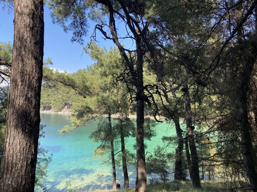 Thasos: Explore Secret Thassos - The Thrill of Driving Thassos Coastline (Views While You Move)