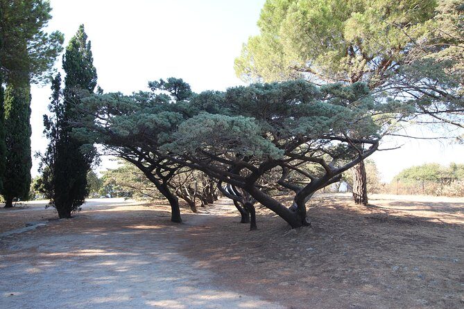 The Best of Rhodes & Lindos: Full Island Tour (Small Group) - Filerimos Cross: peacocks, sea views, and the optional museum
