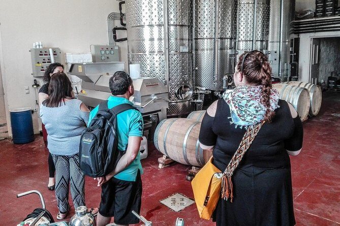 The Gourmet Wine Tour of Heraklion area - Bakaliko Crete: Olive Oil Tasting Before Lunch