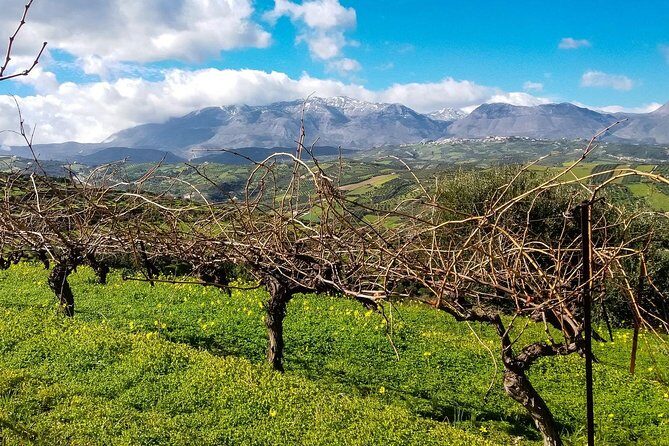 The Gourmet Wine Tour of Heraklion area - Who This Tour Fits Best (And Who Might Want Something Else)