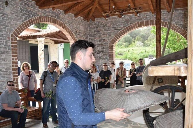 The Governor's Olive Mill Tour with Olive Oil Tasting - The oldest olive tree and an old fort: island-scale perspective
