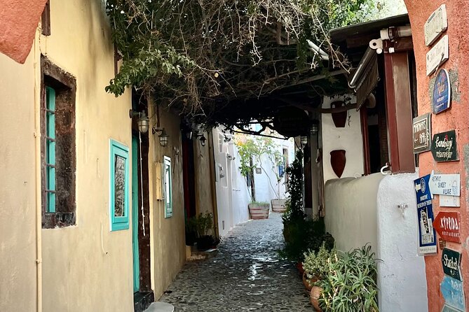 The Highlights of Santorini on a Mini Bus Daily Sunset Tour - Megalochori: Santorini away from the postcard crowds
