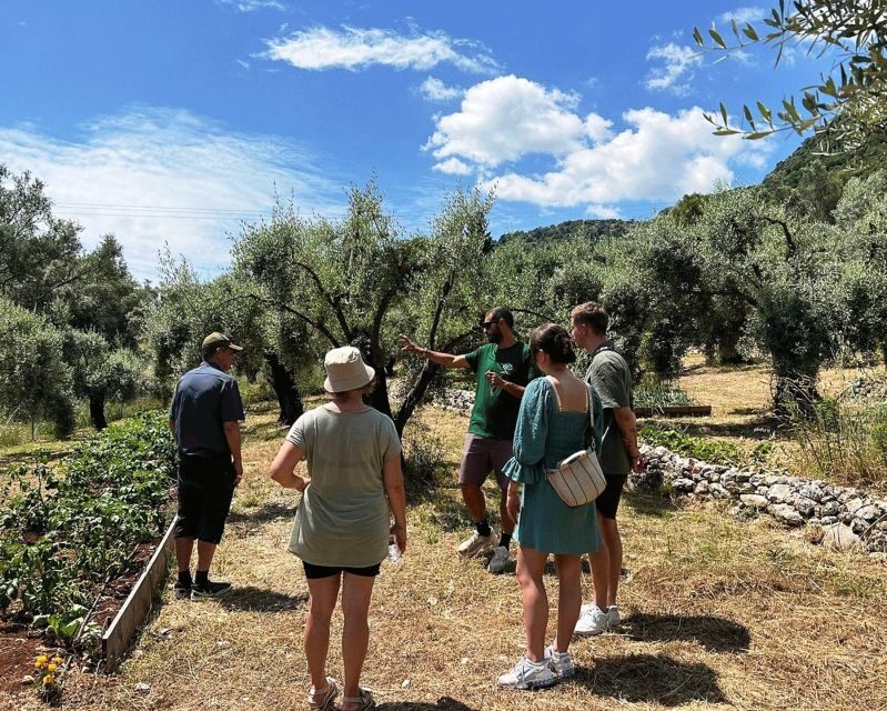 The Olive Oil Experience @ Lefkada Micro Farm - Should you book the Olive Oil Experience at Lefkada Micro Farm?