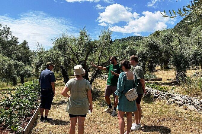 The Olive Oil Experience @ Lefkada Micro Farm - The Grove Walk: Regenerative Organic Practices and Terroir